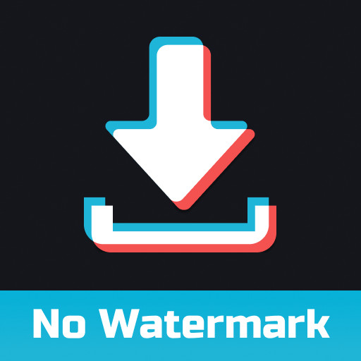 TikDownloader: no watermark Download on Windows
