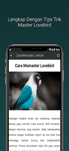 Masteran Kicau Lovebird Gacor Screen 3