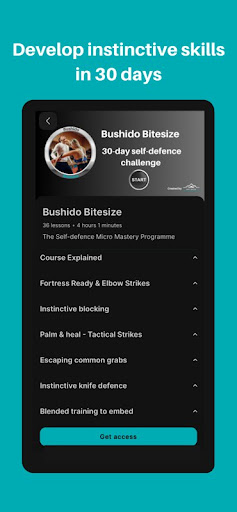 Bushido Bitesize Screen 2