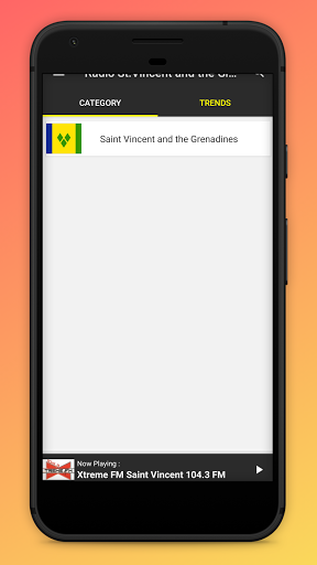 Radio St.Vincent and the Grena Screen 2