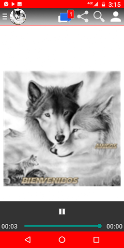 Lobo Amanecer MX Screen 3