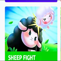 Sheep fights