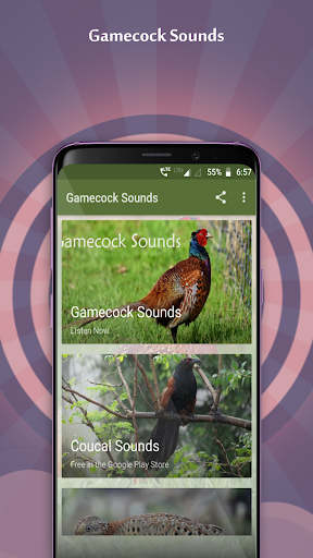 Android application Gamecock Sounds screenshort