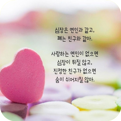 사랑 이미지 logo