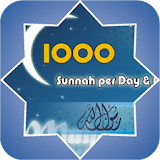 1000 Sunnah Per Day And Night icon