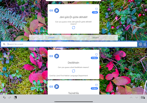 Android application Kaska Cards screenshort
