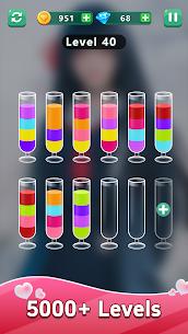 Water Sort:Romance Girl 2