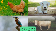 子供のための動物を学ぶ：教育ゲームのおすすめ画像4