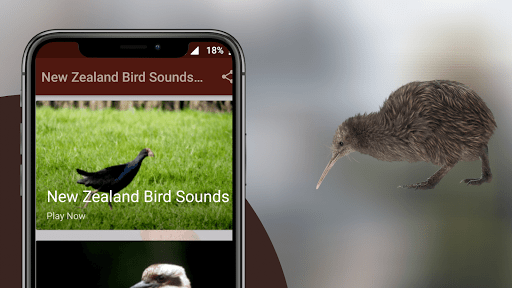 NewZealand Bird Sounds Screenshot 1 - AppWisp.com