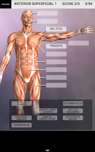 Muscle and Bone Anatomy 3D APK (پرداخت شده) 3
