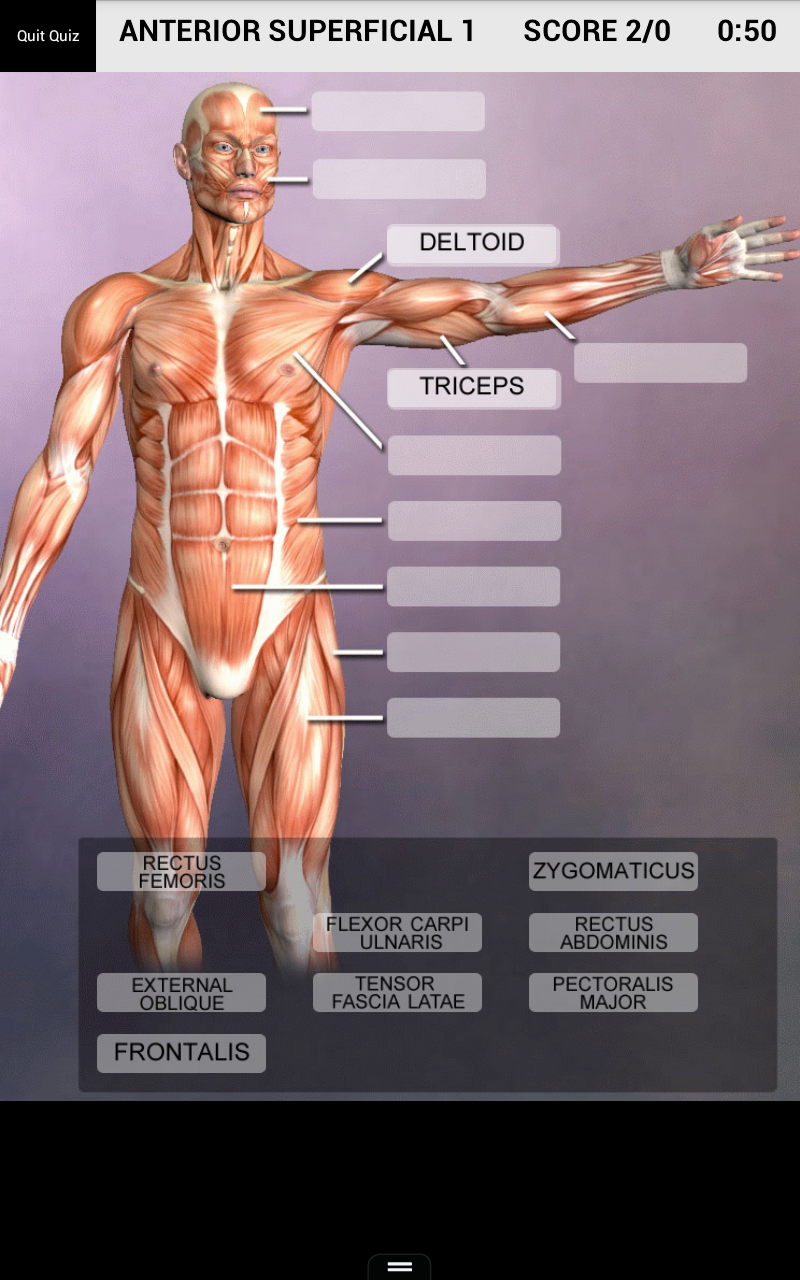 Android application Muscle and Bone Anatomy 3D screenshort