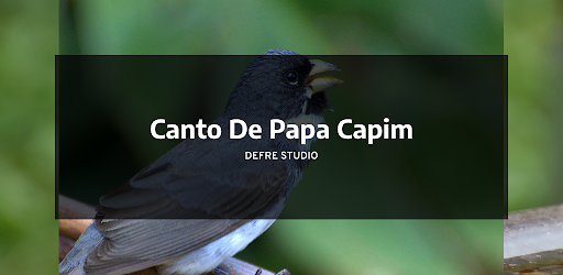 Android application Canto De Papa Capim screenshort