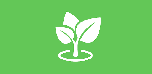 Grüental Flora & Fauna