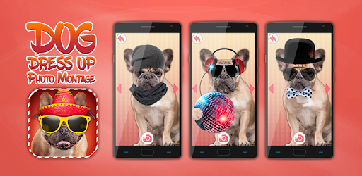 犬がドレスアップフォトモンタージュ Google Play のアプリ