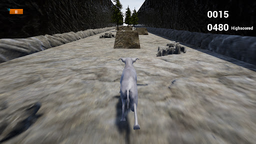 Greyhound Dog Simulator