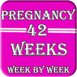 Pregnancy Week By Week icon