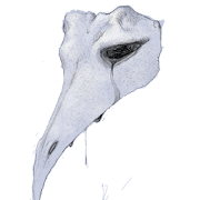 Plague Doctor Crow - Free Lite Book  Icon