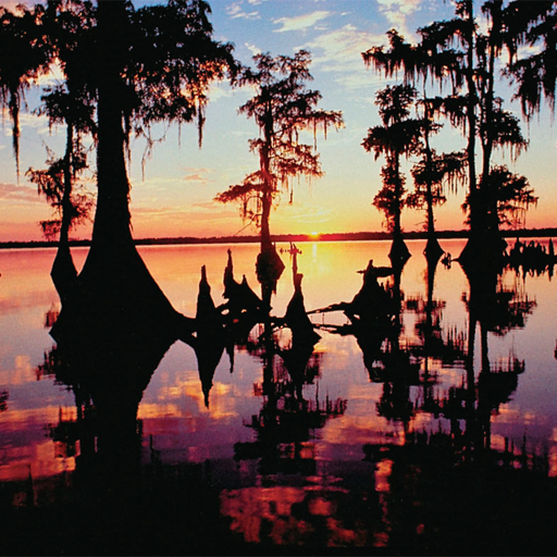 Bayou Federal Credit Union logo