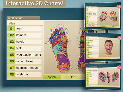 Screenshot of Total Reflexology 3D
