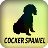Cocker Spaniel icon