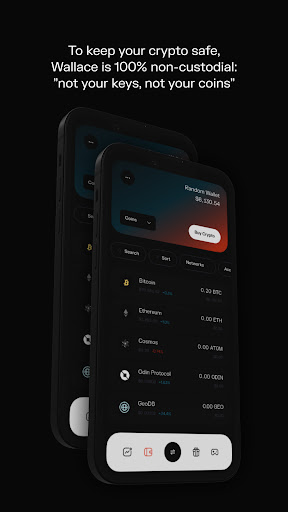 Screenshot of Wallace - Play and Earn Crypto