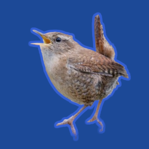Bird Song Quiz Download on Windows
