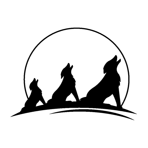 City View Charter School logo
