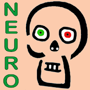 Skeletto-Neuro Anatomie  Icon