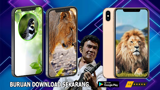 Rhoma Irama Album Mp3 Offline Screenshot 3 - AppWisp.com