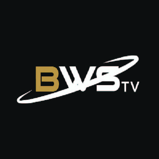 Black Wall street TV logo