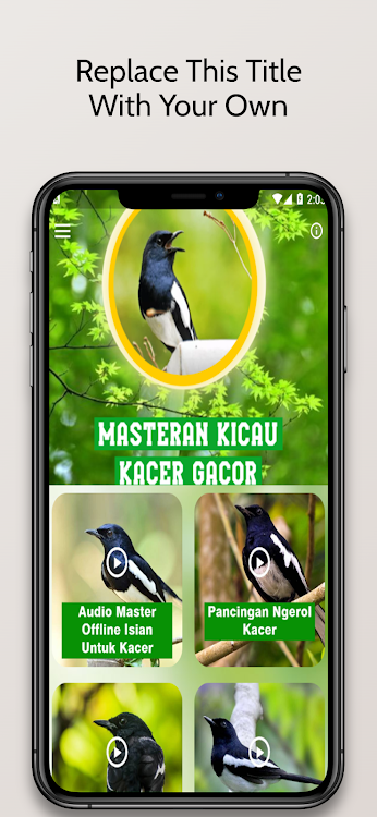 Masteran Kicau Burung Kacer - 3.2.4 - (Android)
