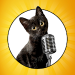 Cover Image of Baixar Konuşan Kediler Eşleştirme Oyunu Tekir APK