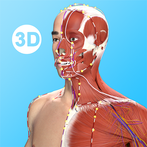 Acupuncture Master 앱 아이콘