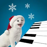 3D Singing Kitten Cat Piano icon