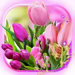 Cover Image of Download Tulips Love Live Wallpaper  APK
