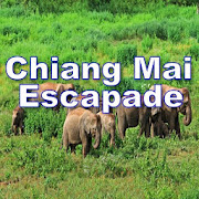 Top 8 Travel & Local Apps Like Chiang Mai Escapade - Best Alternatives