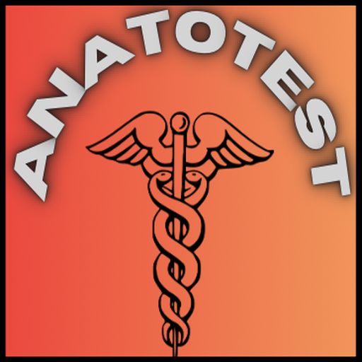 Anatotest logo