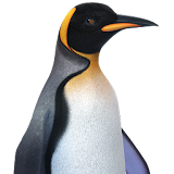 Penguin 3D icon