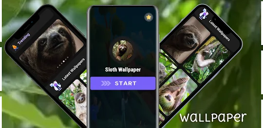 Sloth Wallpaper