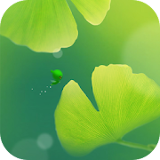 Green Apricot Leaf Wallpaper