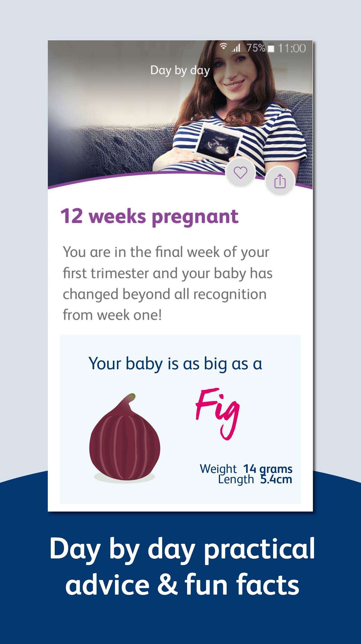 Android application Pregnancy App & Baby Tracker; Week by Week -Bounty screenshort
