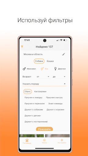 Goodog взять питомца из приюта Screen 2