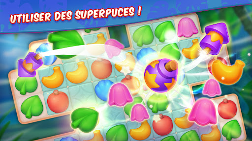 Aperçu de l'application