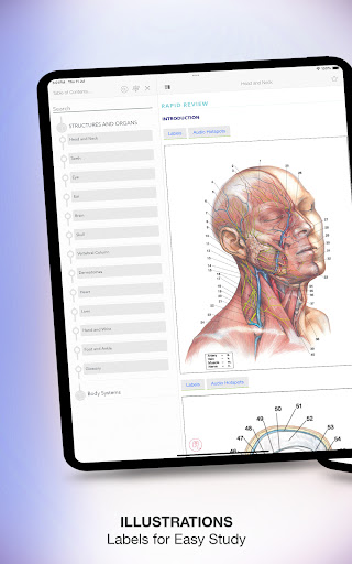Screenshot of Rapid Review Anatomy Guide