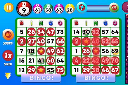 best offline bingo games