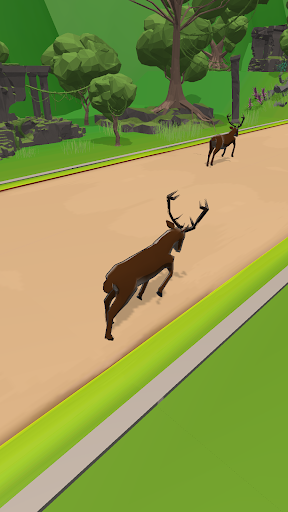 Animal Race-Flying Zoo