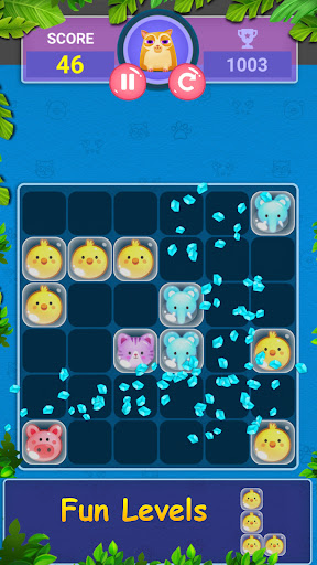 Block Game Puzzle of Pet World Screen 2