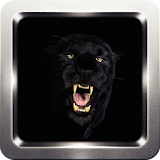 Black Panther Wallpapers icon