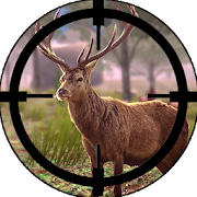 Deer Hunting Sniper Shooting  Icon