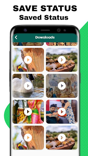 Save Status - Image & Video Screen 3